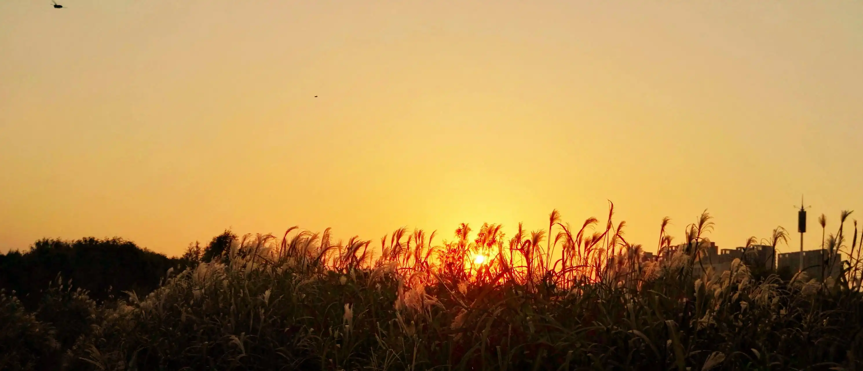 意义与价值 - 阿呆生活志