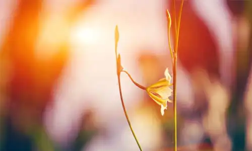 初中怎么快速提高 英语 成绩 - 阿呆生活志