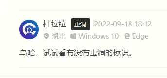 嘀咕虫洞 – 评论是否来自虫洞的另一端？