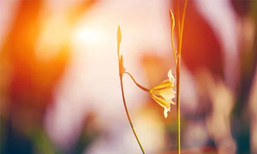 初中怎么快速提高 英语 成绩